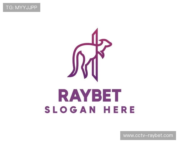解读raybet公司